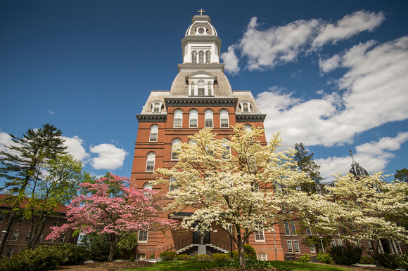 gibbons hall