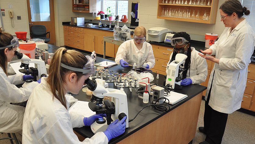 Students in a lab looking through microscopes