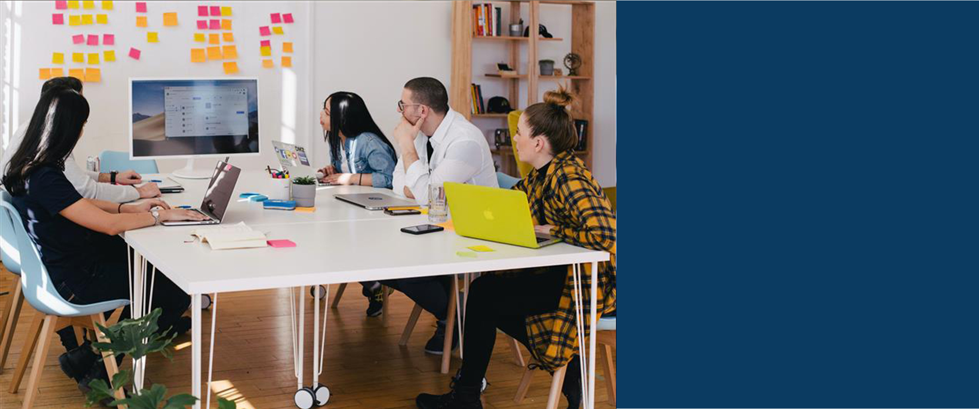 BA in Business Online