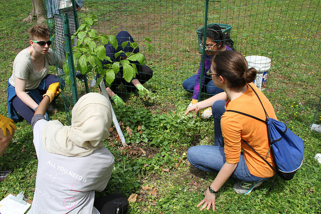 Tribeta Students work on NDMU grounds