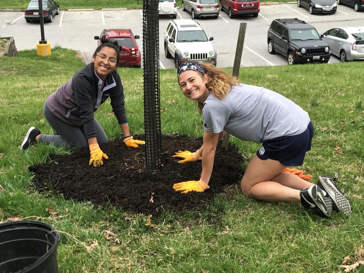 Students planting trees