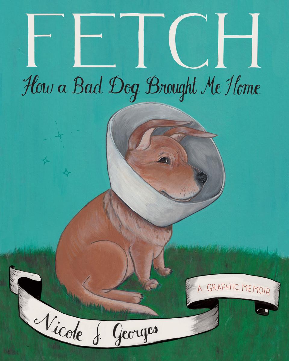 Fetch book jacket