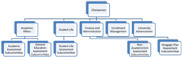 assessment organizational chart