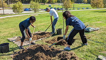 TriBeta members planting trees