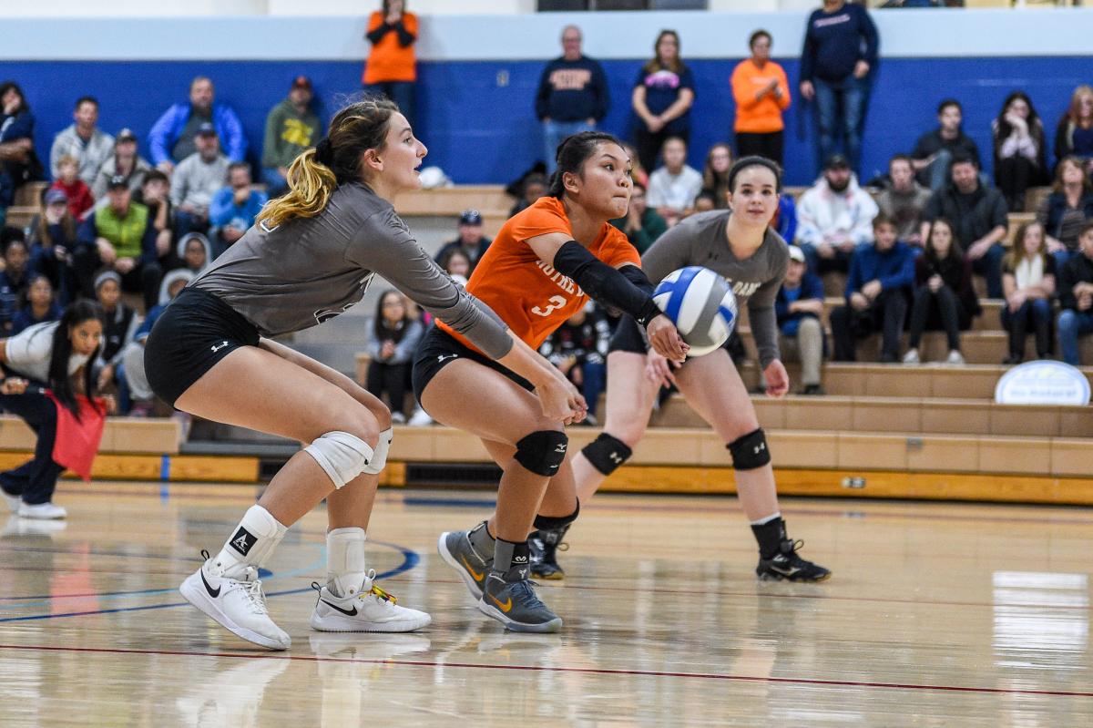 Volleyball plays game