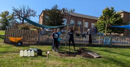 TriBeta Tree Planting