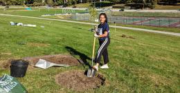 TriBeta Tree Planting