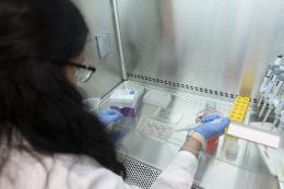 NDMU Students Conduct Research in Bunting Hall Lab