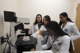 NDMU Students Conduct Research in Bunting Hall Lab