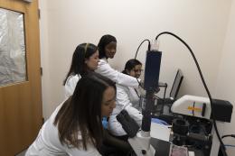 NDMU Students Conduct Research in Bunting Hall Lab