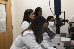 NDMU Students Conduct Research in Bunting Hall Lab