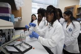 NDMU Students Conduct Research in Bunting Hall Lab