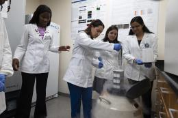 NDMU Students Conduct Research in Bunting Hall Lab
