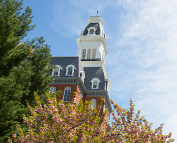 side view of Gibbons tower through the trees