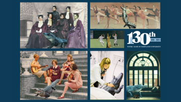 Gators Through the Year Postcard