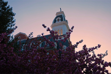 Gibbons tower at sunset