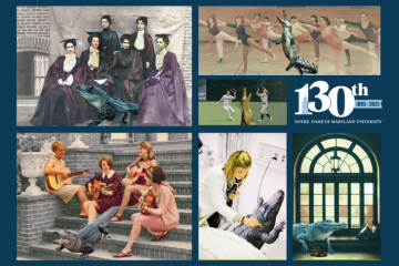 Gators Through the Year Postcard