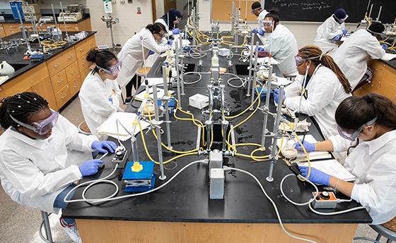 NDMU students working in a lab on campus