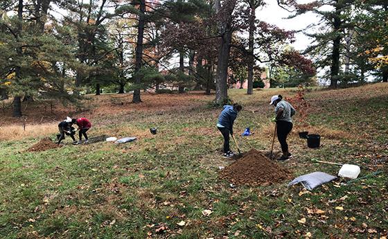 student plant trees on campus