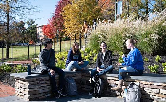 a group of students discussing