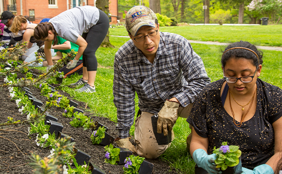 Students and faculty planting flowers on campus