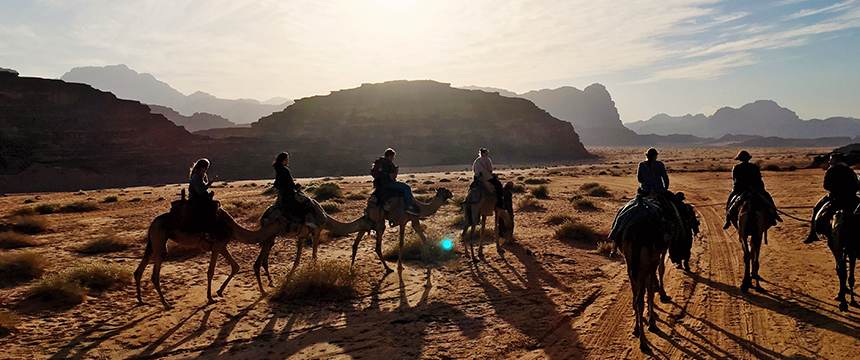 camel ride through a desert at sunset