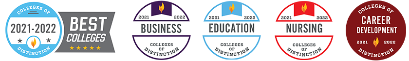 Colleges of Distinction Badges
