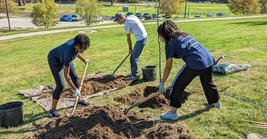 TriBeta Tree Planting