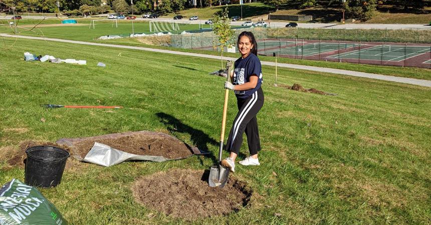 TriBeta Tree Planting