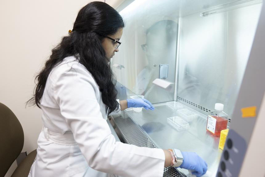 NDMU Students Conduct Research in Bunting Hall Lab