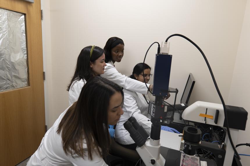 NDMU Students Conduct Research in Bunting Hall Lab