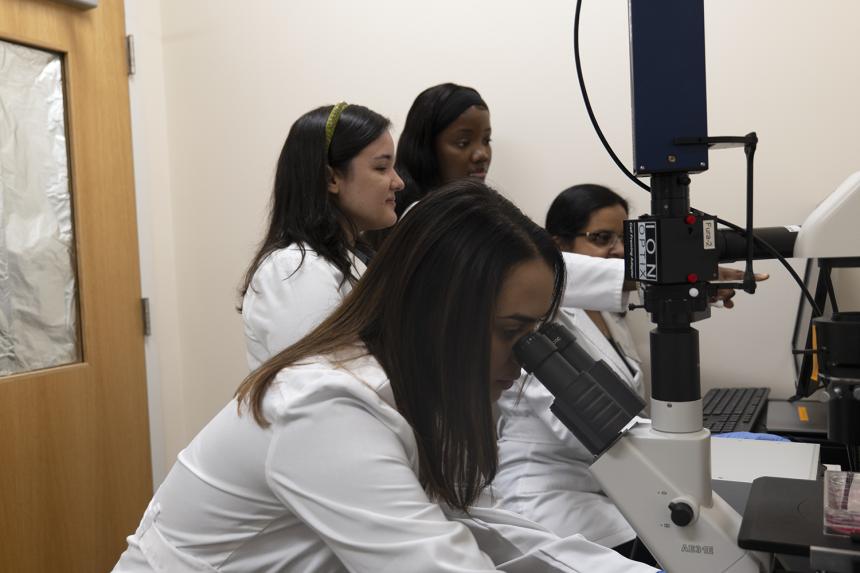 NDMU Students Conduct Research in Bunting Hall Lab