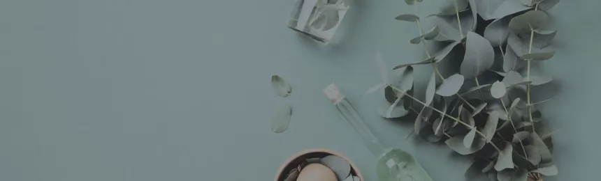 Master of Science in Clinical Herbal Medicine