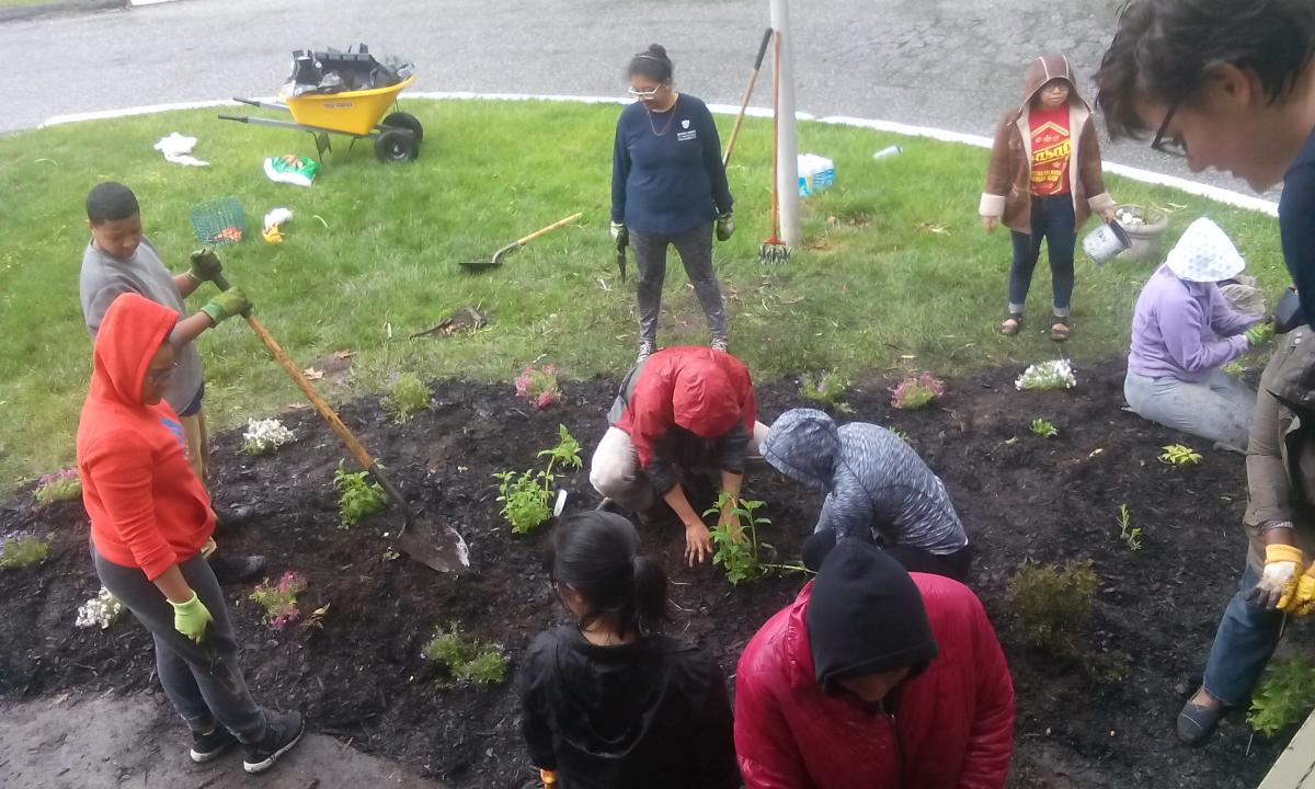 Tribeta students plant in pollinator garden